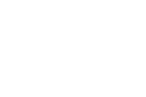 Hybrid Carpentry